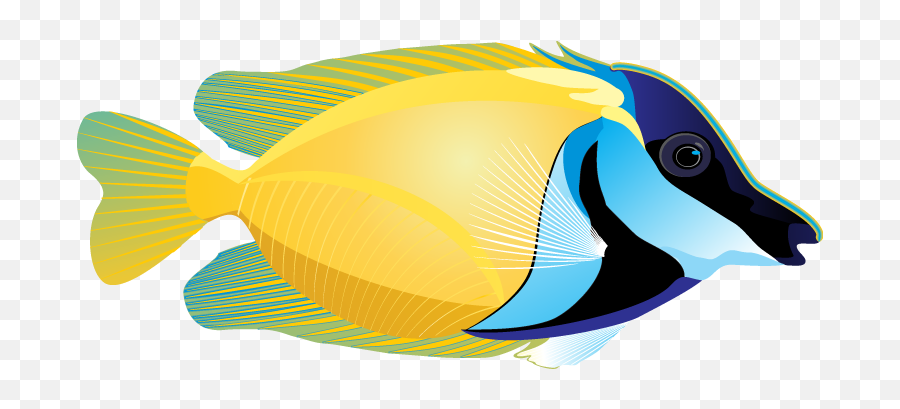 Download Free Ocean Fish Picture Icon - Ocean Fish Clip Art Png,Ocean Fish Png
