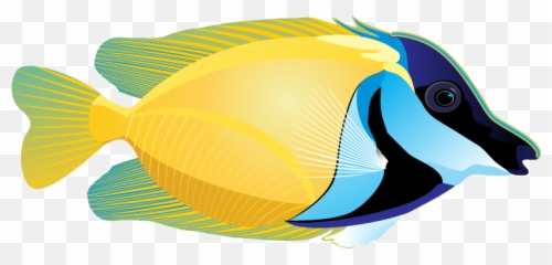 Download Free Ocean Fish Picture Icon - Clip Art png