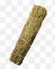 Desert Sage Stick - Solid png