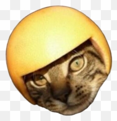 Canöbee - Soft png