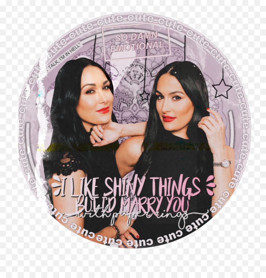 Nikkibella Briebella Wwe Sticker By Totaldivaswwe - Bella Twins Png,Nikki Bella Icon