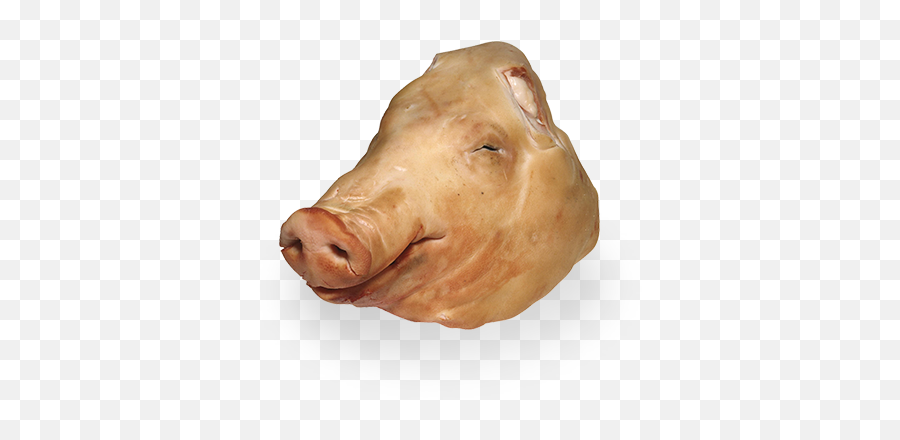 Head - Linley Valley Pork Domestic Pig Png,Animal Head Png
