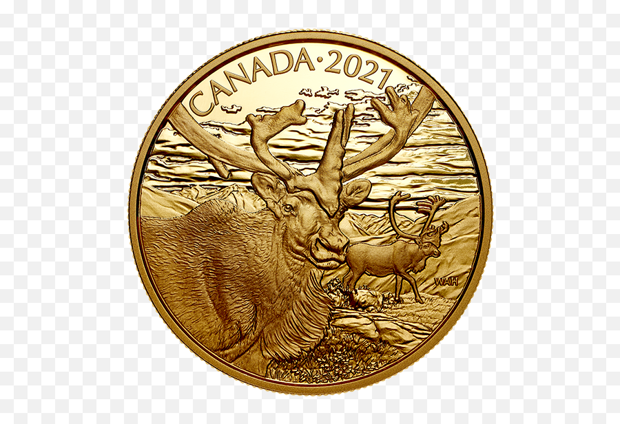 99999 Pure Gold Coin - Canadian Wildlife Portraits The 1 Oz Gold Wildlife Royal Canadian Mint 2021 Png,99999 Urf Icon