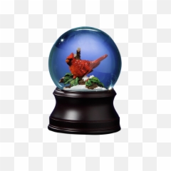Snowglobe Png - Holiday Cardinal Snow Globe Classu003d Okapi Snow Globe,Cardinal Png