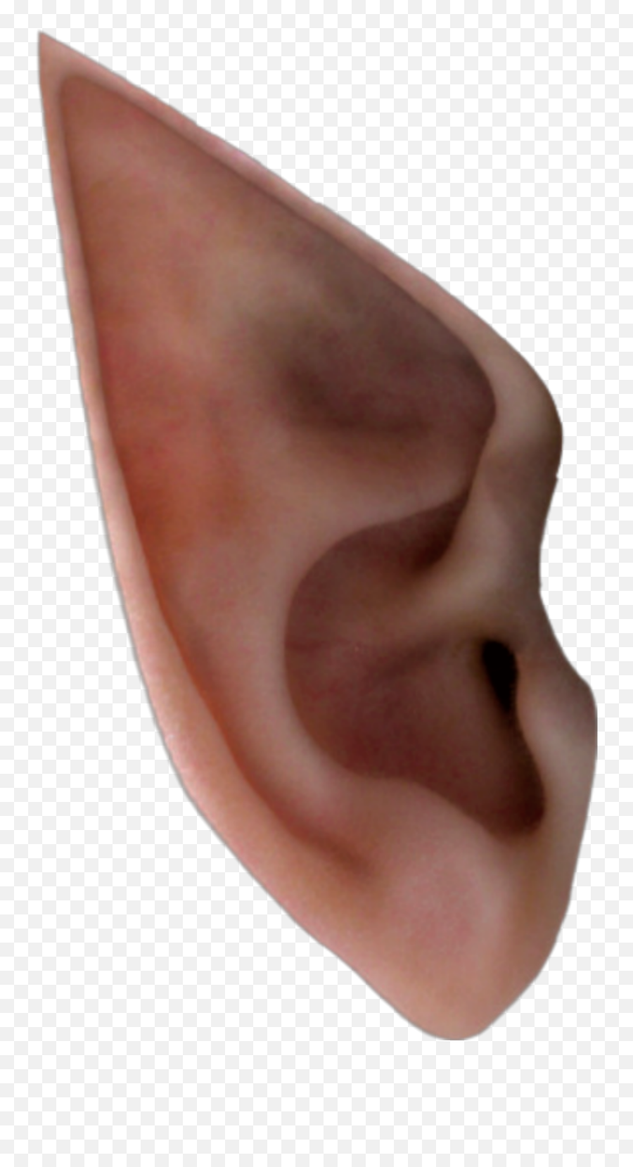 Elf Ear Ears Fantasy - Transparent Elf Ears Png,Ear Png