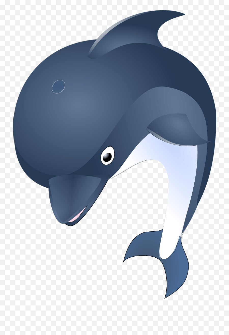 Free - Dolphins Image No Background Png,Dolphin Clipart Png