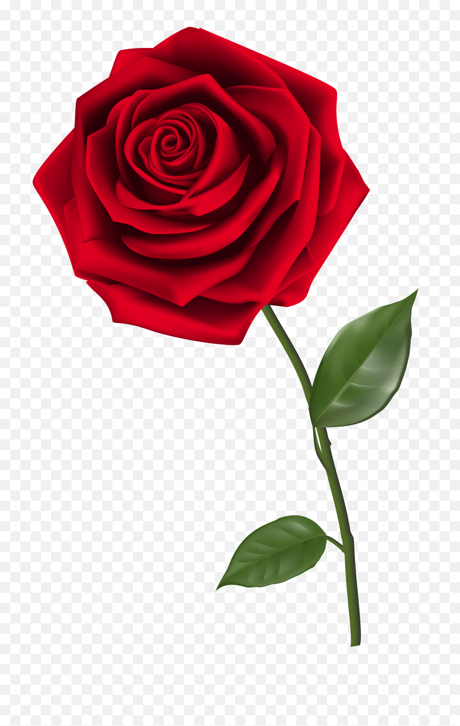 Rose Free Png Transparent Image And Clipart - Transparent Background Red Rose Png,Rose Transparent