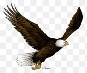 Flying Eagle Png Pic Arts - Image Png