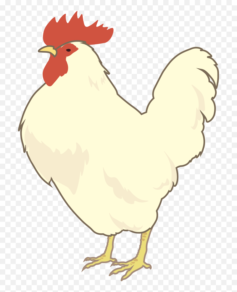 Download Hd White Leghorn Hen Png - Leghorn Chicken White Leghorn Chicken Outline,Chicken Head Png