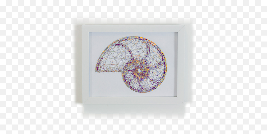 Original Artwork Mefio Studio - Picture Frame Png,Fibonacci Spiral Png