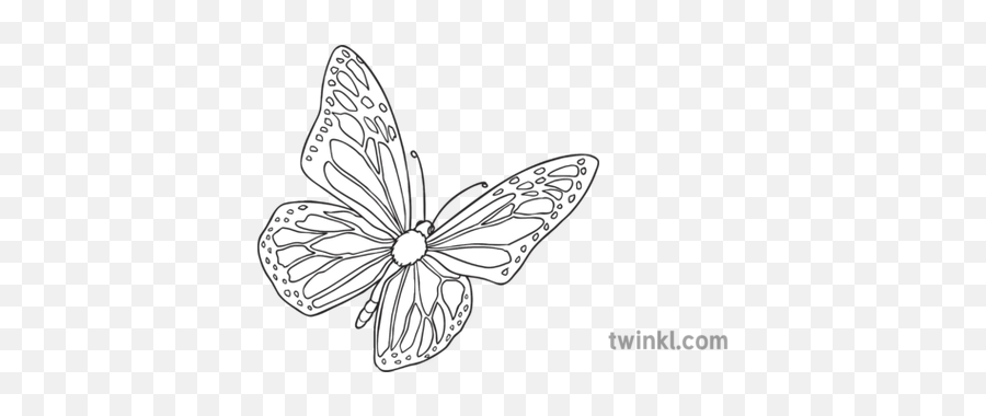 Yellow Butterfly Open Eyes Story Character Farm Animal - Butterfly Png,Yellow Butterfly Png