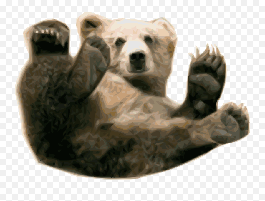 Transparent Grizzly Bear - Real Baby Bear Png,Bear Transparent