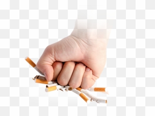 World No Tobacco Day - Sweetch World Smoking Day Png,Tobacco Png