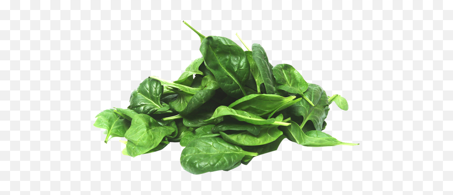 Baby Spinach 100g - Spinach Png,Spinach Png