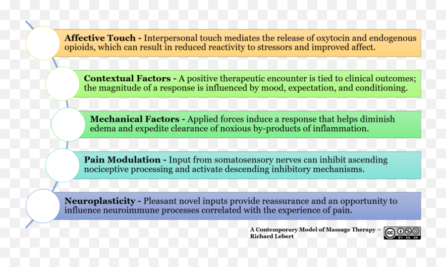 Download Hd Mechanism Of Action 8 - Spinal Cord Transparent Screenshot Png,Cord Png