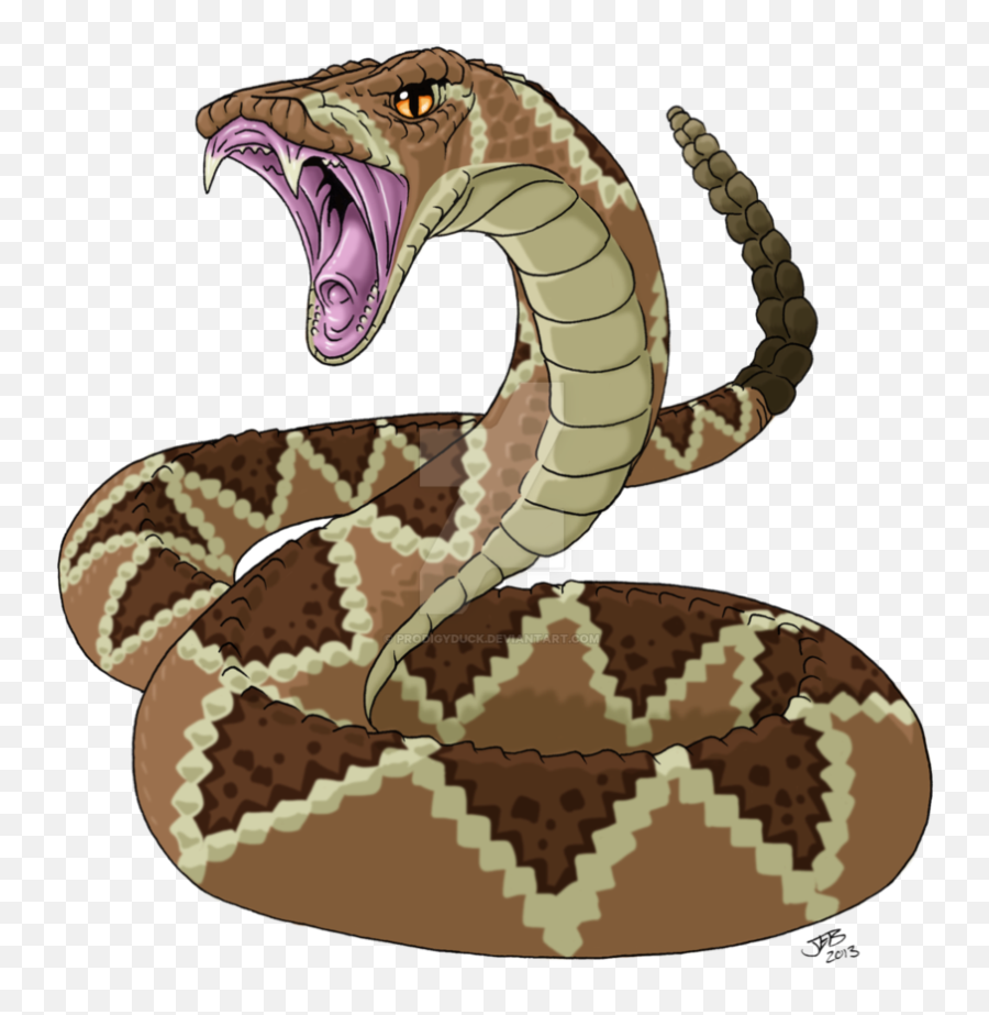 Download Snakeskin Drawing Rattlesnake - Western Diamondback Western Diamondback Rattlesnake Cartoon Png,Rattlesnake Png