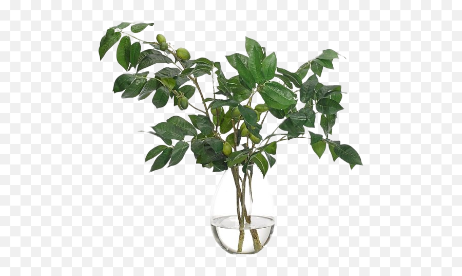 22 Olive Branch In Teardrop Vase Faux - Vase With Green Branches Png,Olive Branch Png
