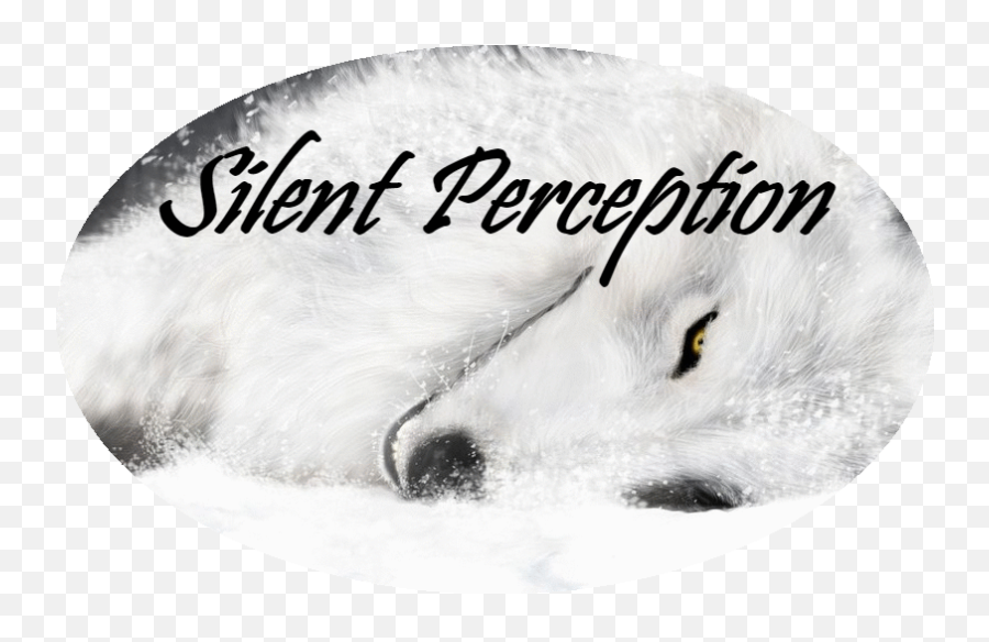 4k Wallpaper White Wolf - White Wolf Png,White Wolf Png