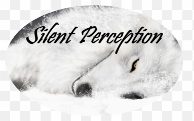 4k Wallpaper White Wolf - png