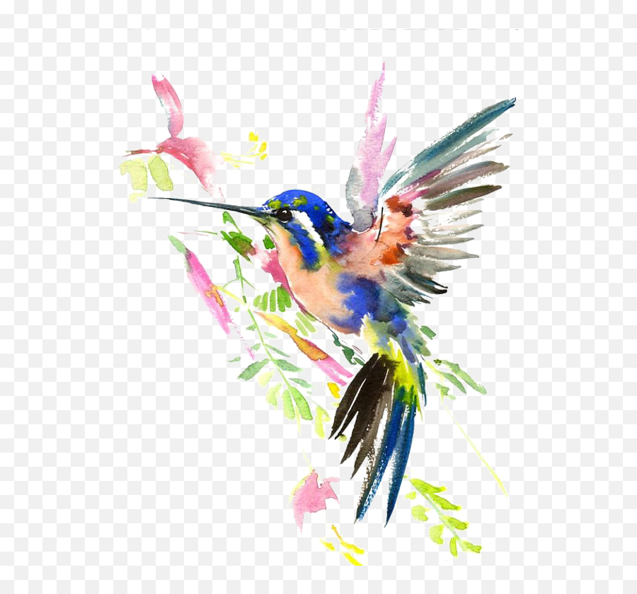 Download Watercolor Painting Drawing Hummingbird Hq - Transparent Watercolour Hummingbird Png,Hummingbird Png