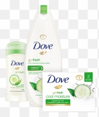 Soap Clipart Dove - png