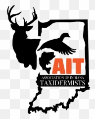 Home - Association Of Indiana Taxidermist png