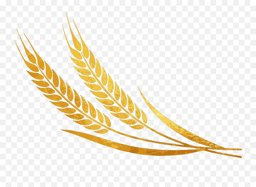 Wheat Icon Png - Fresh,Wheat Icon Png