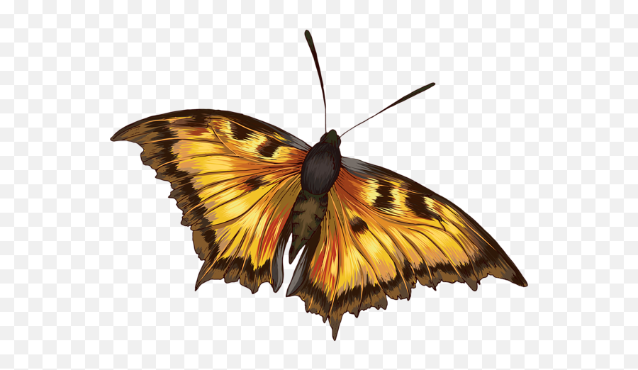 Butterfly Clipart Png Image Clip Art - Butterflies,Butterfly Clipart Png