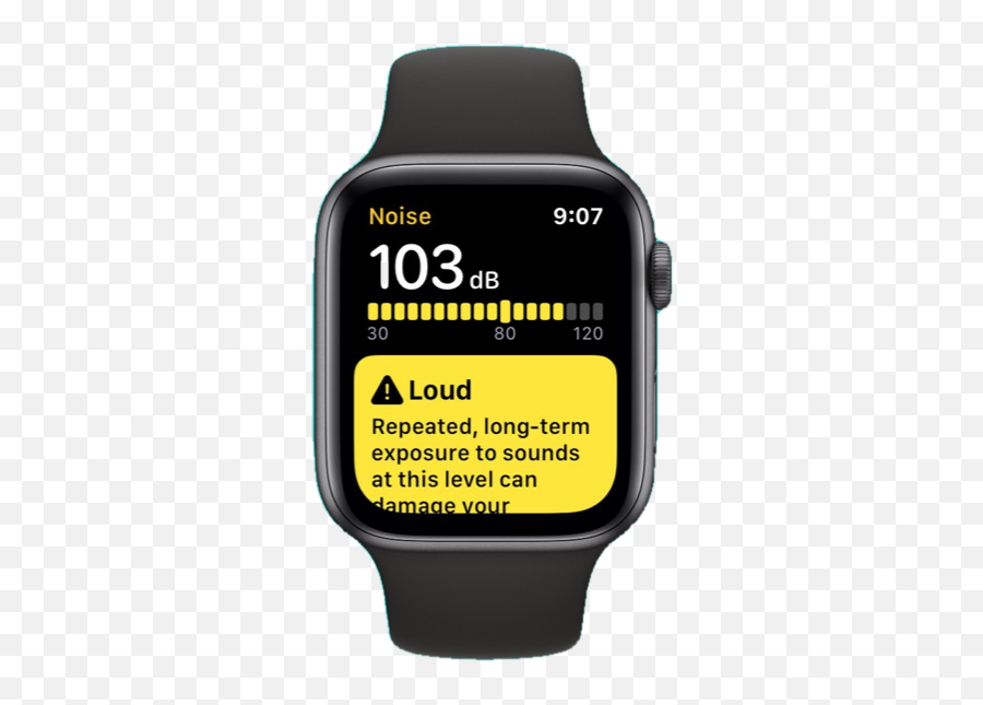 Apple Watch Noise Meter - How Accurate Is It U2014 The Noise Apple Watch Series 6 Se 44mm Space Gray Aluminum Case Black Sport Band Png,Noise Png