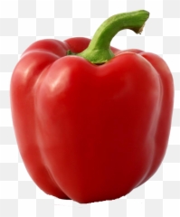 Green Bites Cafe - Bell Pepper Transparent Cartoon Jingfm Paprika Rood Png,Green Pepper Png