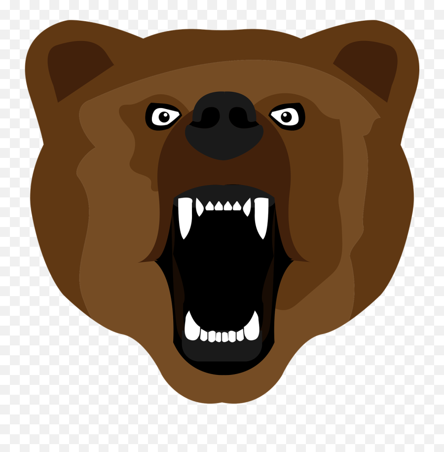 Download Free Photo Of Bearbrownsetpawisolated - From Bear Face Png,Polar Bear Icon