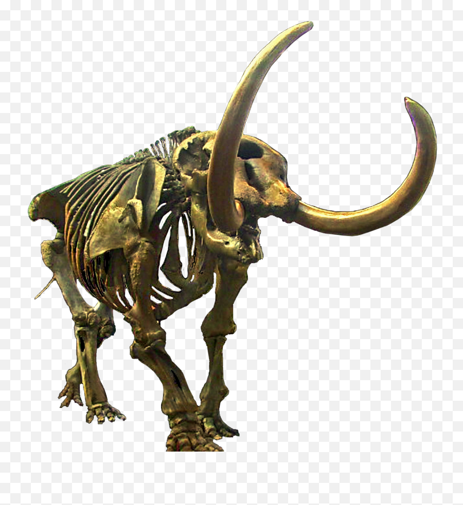 Mastodon Clean - Mastodon Png,Clean Png