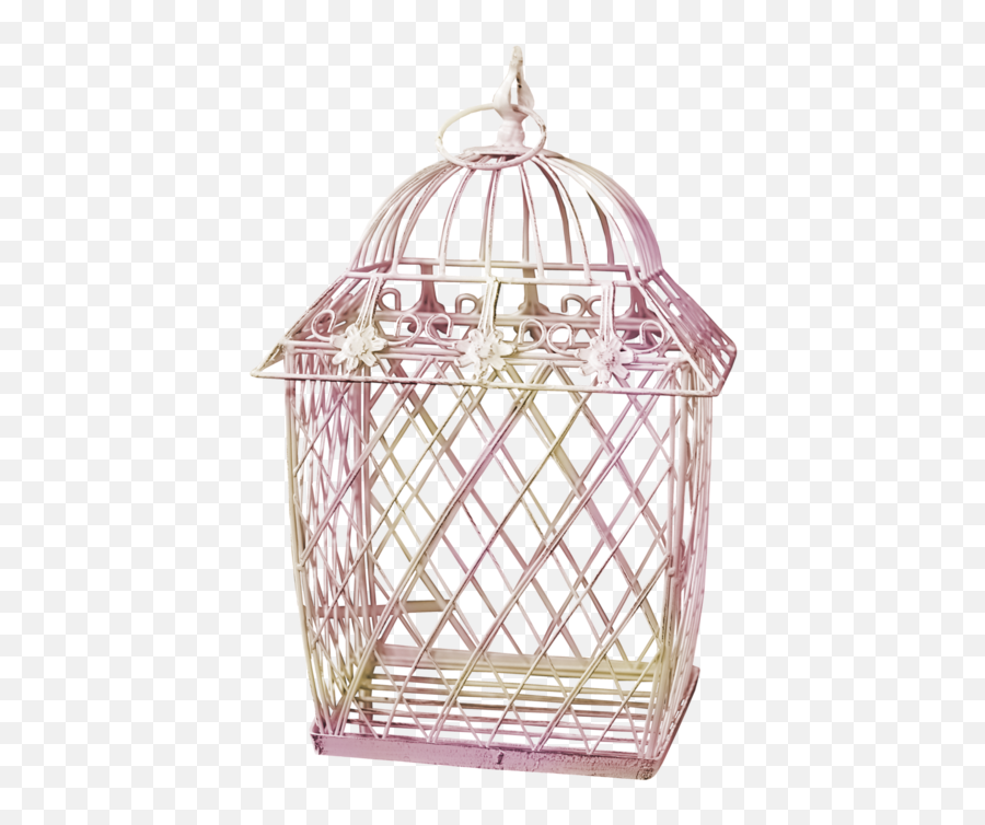 Download Hd Empty Bird Cages - Cage Transparent Png Image Birdcage,Cage Png