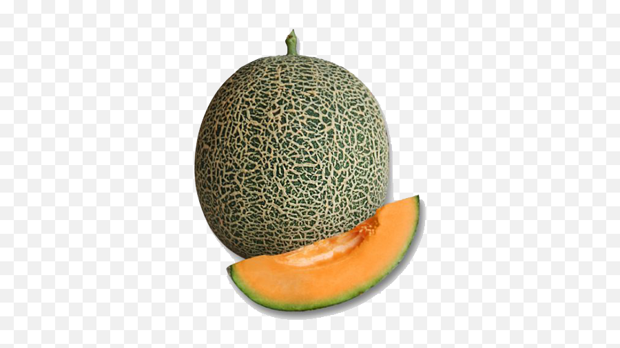 Melon 787 U2013 Green World Genetic - Cantaloupe Png,Cantaloupe Png