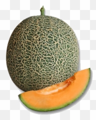 Melon 787 U2013 Green World Genetic - Cantaloupe Png,Cantaloupe Png