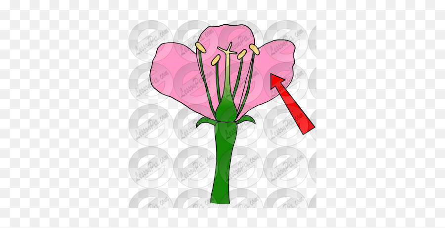 Petal Picture For Classroom Therapy Use - Great Petal Clipart Good Png,Flower Petal Icon
