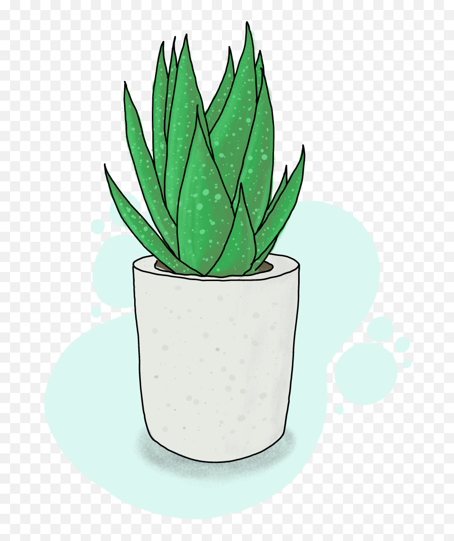 Aloe Plant By Steven Groeneveld - Language Png,Plant Icon Tumblr
