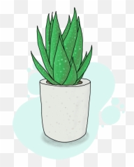 Aloe Plant By Steven Groeneveld - Language png