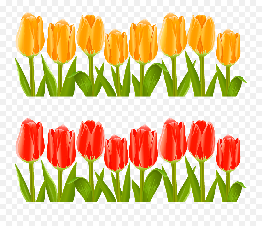 Download Hd Vector Indira Gandhi Memorial Tulip - Tulips Garden Flower Clipart Png,Tulip Transparent
