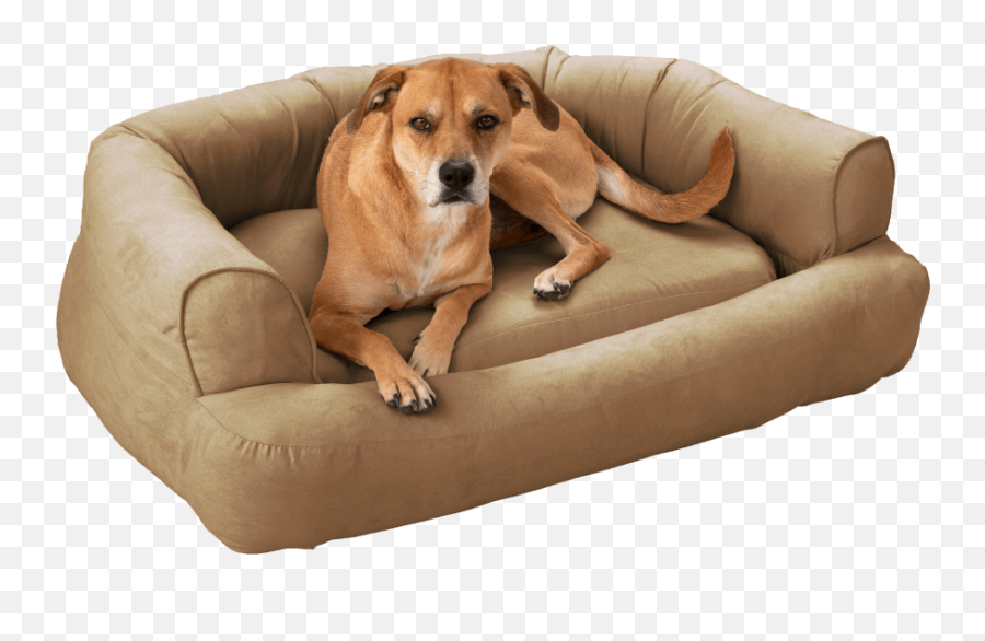 Snoozer Luxury Sleeper Sofa With Microsuede Dog Beds - Tiendas De Remate De Amazon En Mexico Png,Dog Buddy Icon