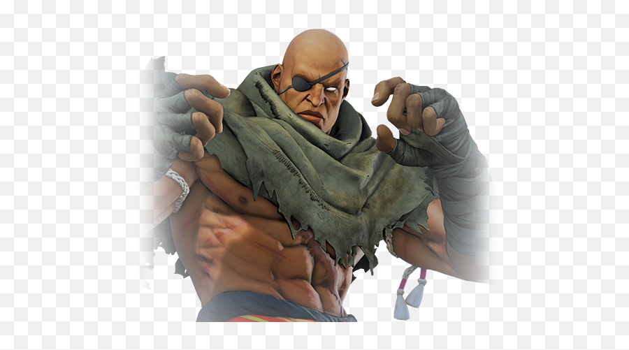 Sagat Street Fighter Wiki Fandom - Street Fighter Eye Patch Png,Street Fighter Png