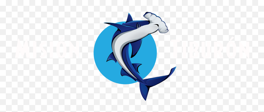 Home - Misión Tiburón Ground Sharks Png,Dolphin Browser Icon Png