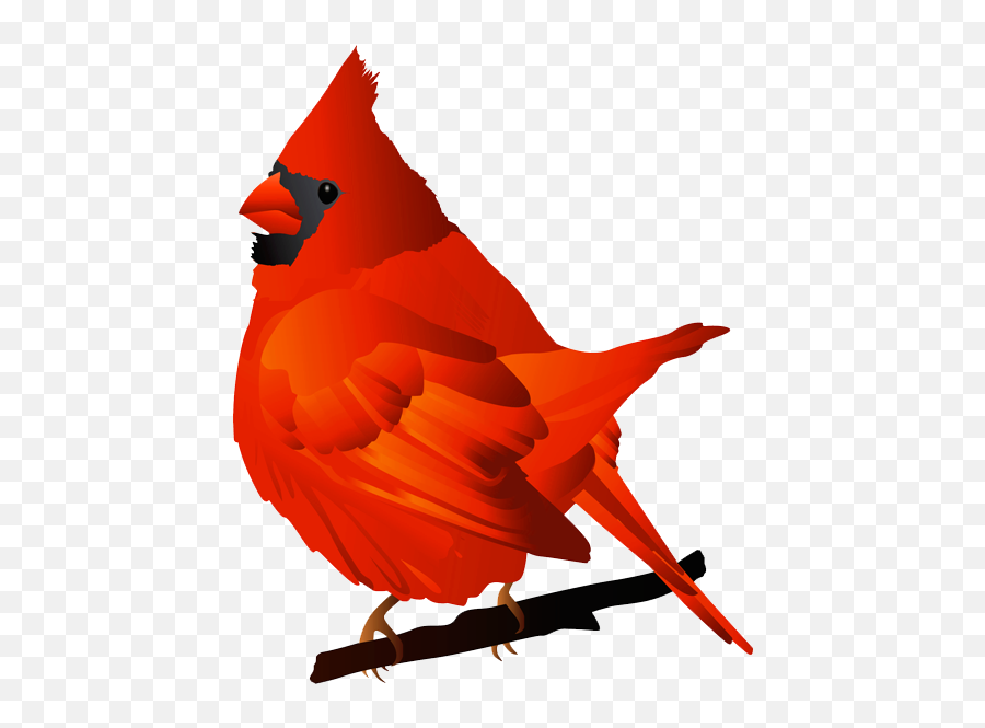 Download Free Cardinal Hd Photo Clipart - Cardinal Bird Clip Art Png,Cardinal Png