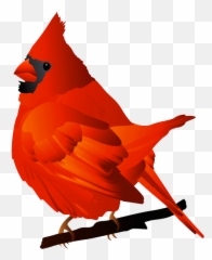 Download Free Cardinal Hd Photo Clipart - Bird Art png