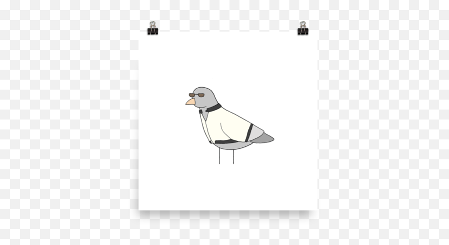 Download Drawn Turtle Dove Transparent - Puffin Png Image Laughing Gull,Dove Transparent