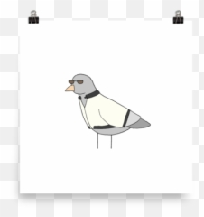 Download Drawn Turtle Dove Transparent - Puffin Png Image Laughing Gull,Dove Transparent