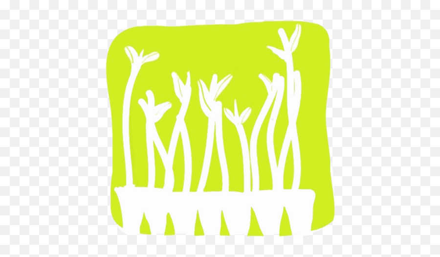 The Mangrove Project Projectmangrove Twitter - Illustration Png,Mangrove Png