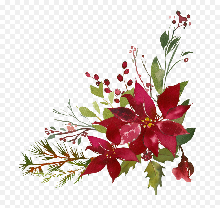 Poinsettia Clipart Flourishes - Transparent Christmas Flower Png,Poinsettia Png
