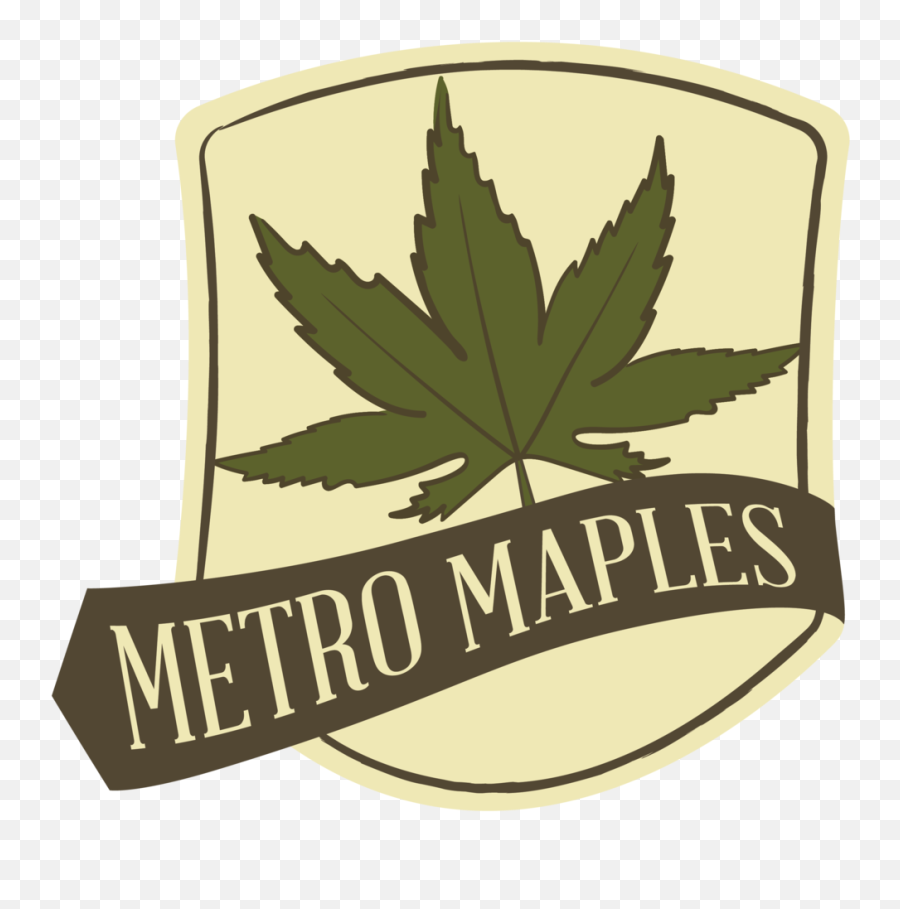 Metro Maples - Maple Png,Japanese Maple Png
