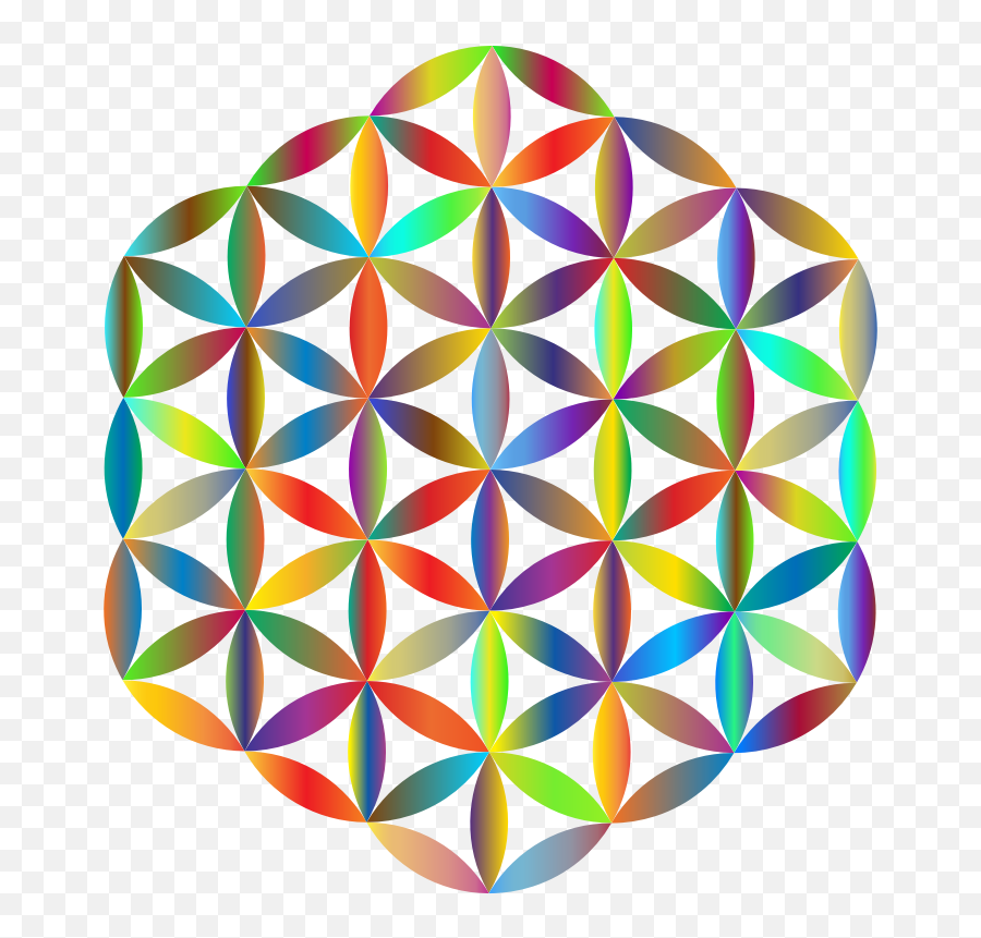Png Prismatic Flower Of Life - Flower Of Life Vector Art,Flower Of Life Png